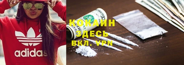 крисы Абаза
