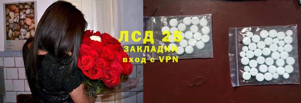 гашик Алзамай