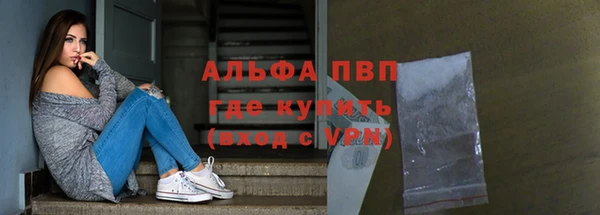 крисы Абаза