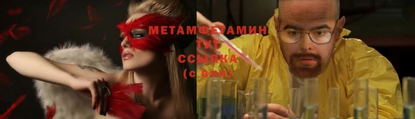 крисы Абаза