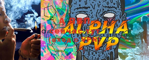 крисы Абаза